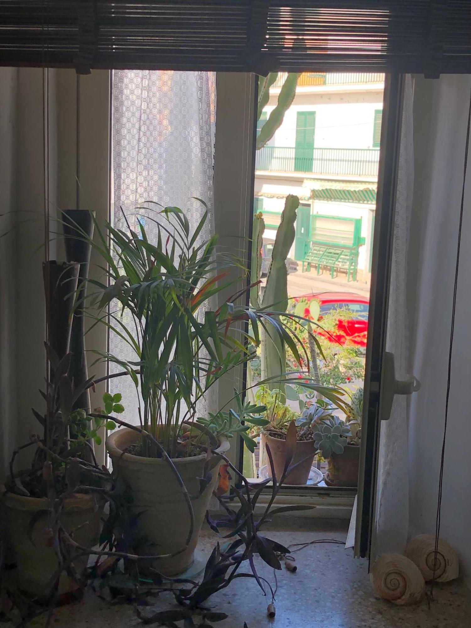 Le Muse Casa Vacanze Scoglitti Ruang foto